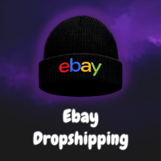 Ebay Dropshipping Guide
